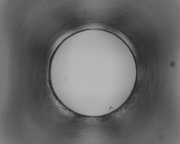 X0000088880861200707061408