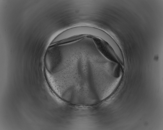 X0000088880862200707061408