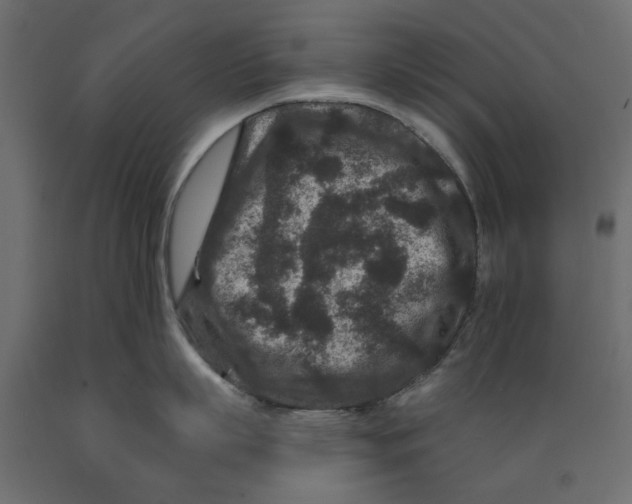 X0000088880863200707061408