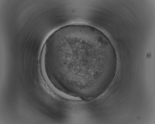 X0000088880864200707061408