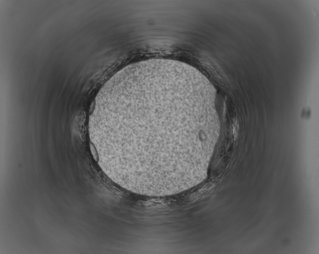 X0000088880867200707061408