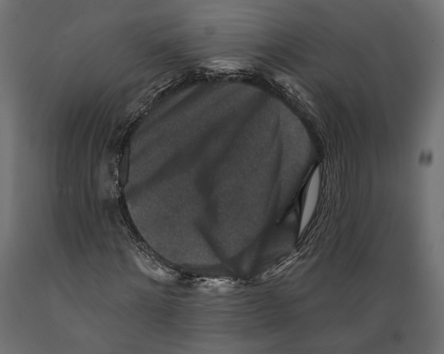 X0000088880868200707061408