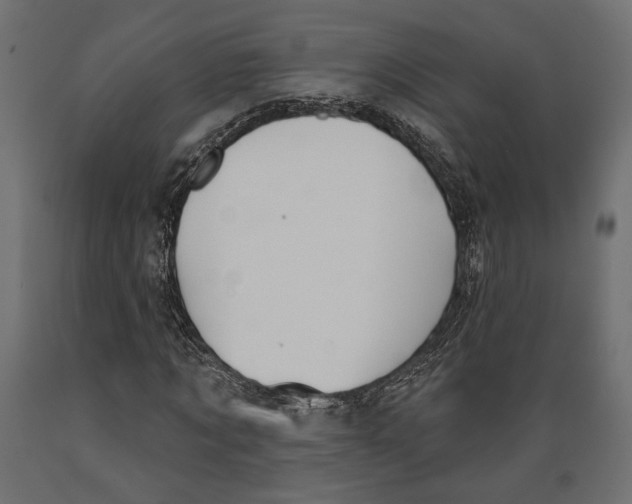 X0000088880869200707061408