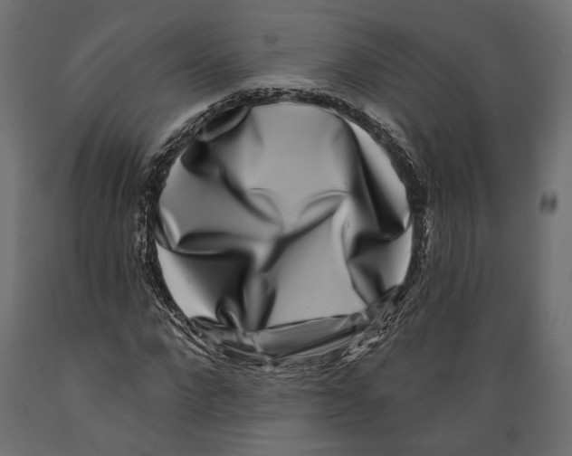 X0000088880872200707061408