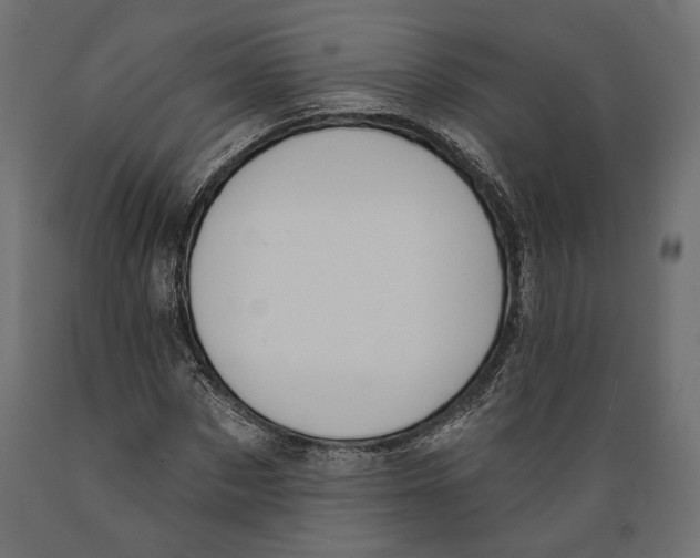 X0000088880873200707061408