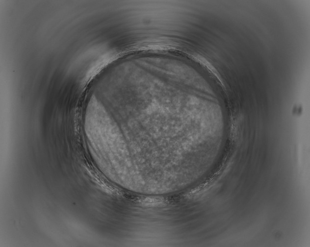 X0000088880874200707061408