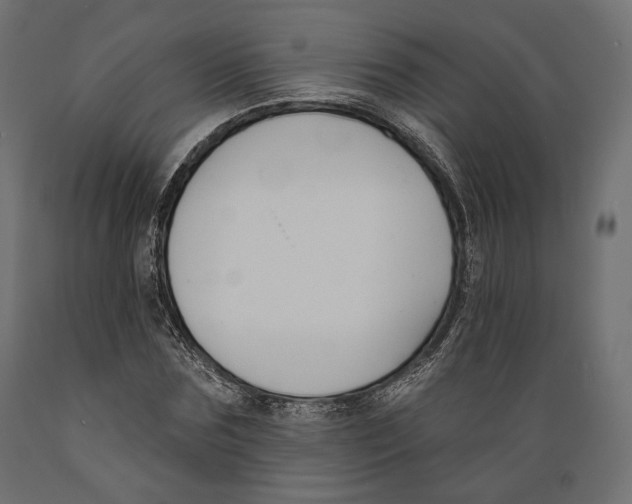X0000088880875200707061408