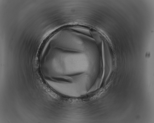 X0000088880876200707061408