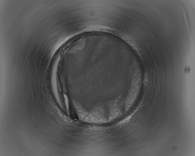 X0000088880877200707061408
