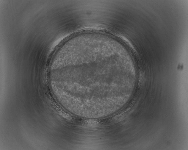 X0000088880878200707061408