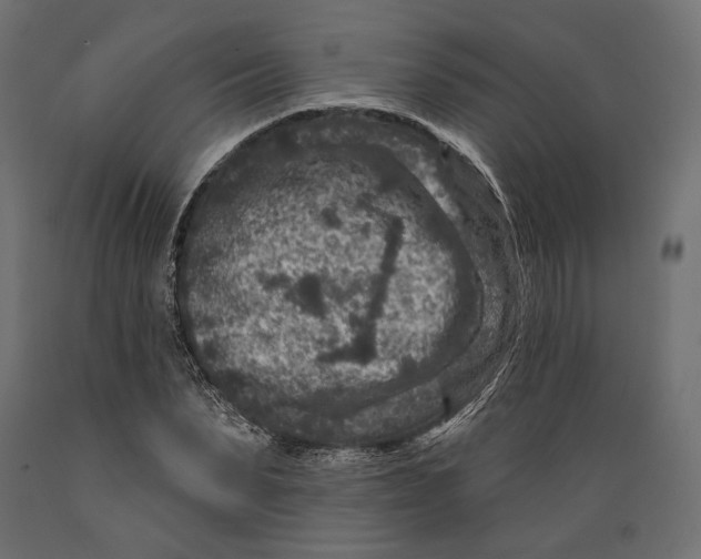 X0000088880879200707061408