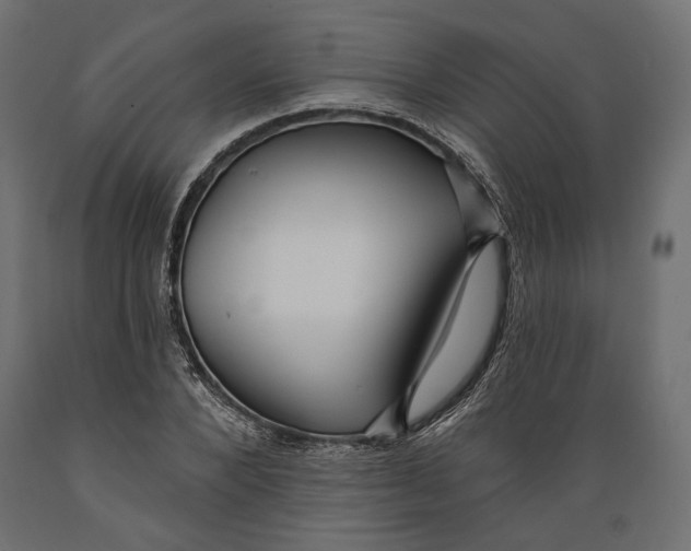 X0000088880880200707061408