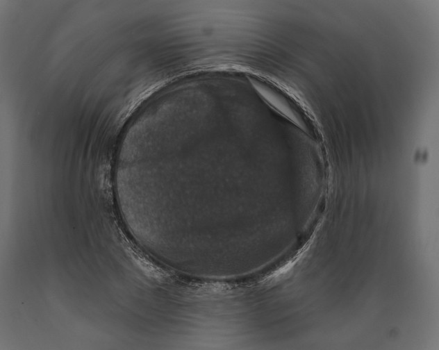 X0000088880881200707061408