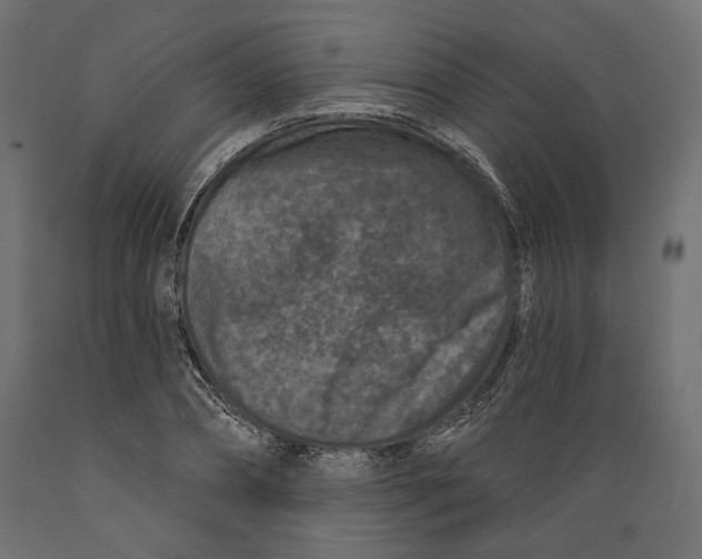 X0000088880882200707061408