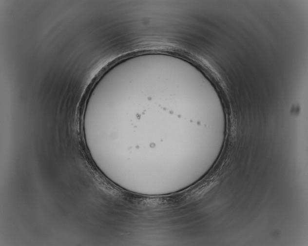 X0000088880883200707061408