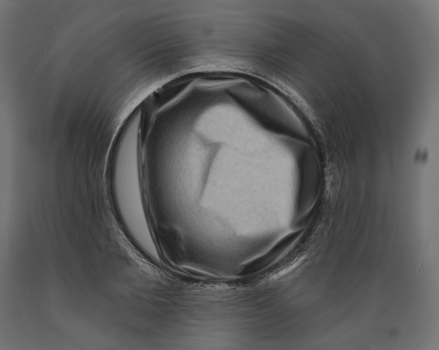 X0000088880885200707061408
