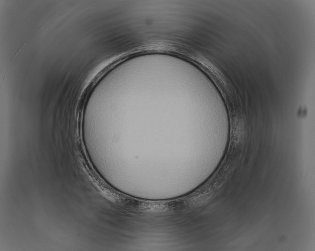 X0000088880886200707061408