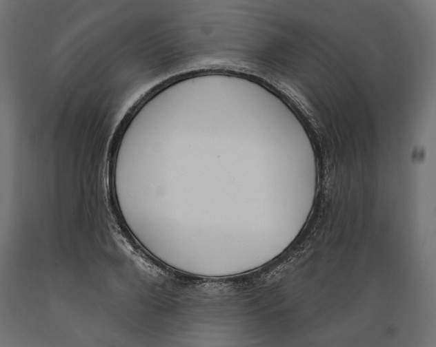 X0000088880888200707061408
