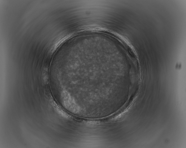 X0000088880889200707061407