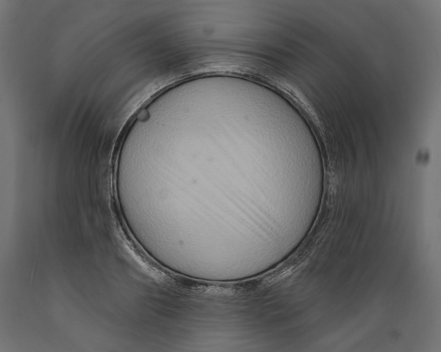 X0000088880890200707061407