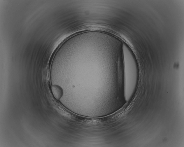 X0000088880891200707061407