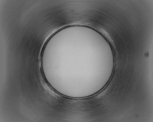X0000088880892200707061407