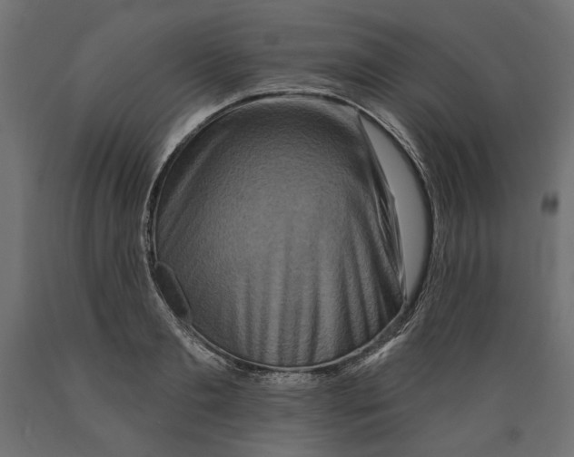 X0000088880893200707061407