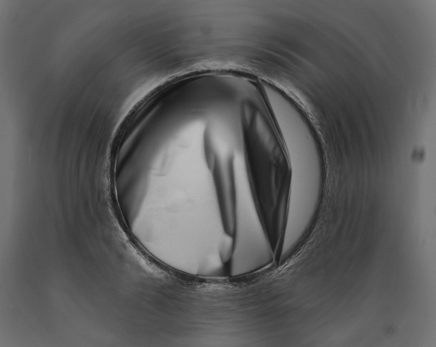 X0000088880894200707061407
