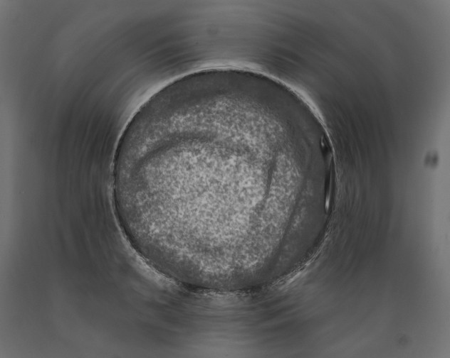 X0000088880895200707061407