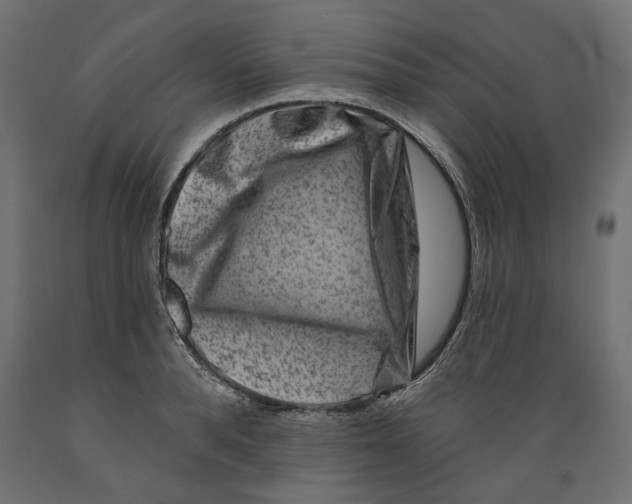 X0000088880896200707061407