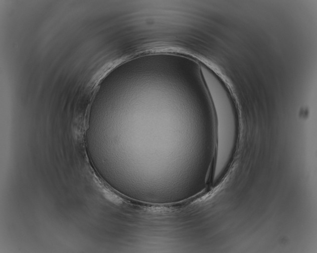 X0000088880897200707061407