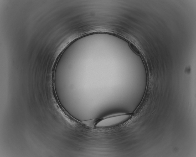 X0000088880898200707061407
