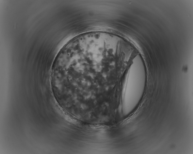 X0000088880899200707061407