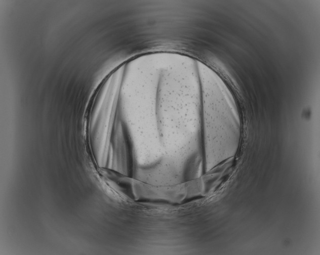 X0000088880900200707061407