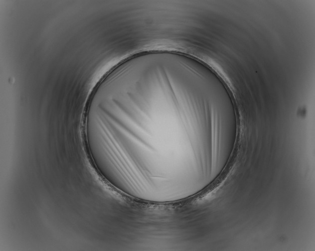 X0000088880901200707061407