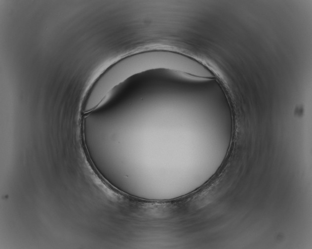 X0000088880902200707061407