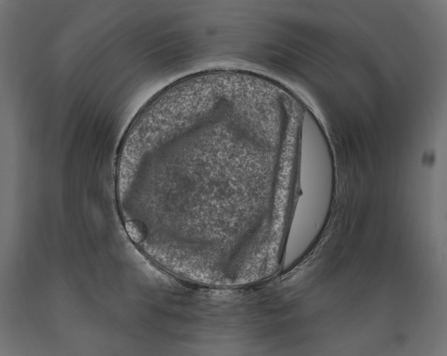 X0000088880903200707061407