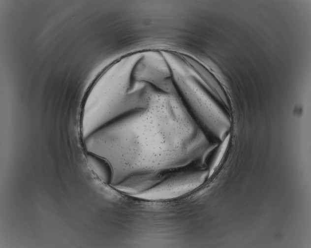 X0000088880904200707061407