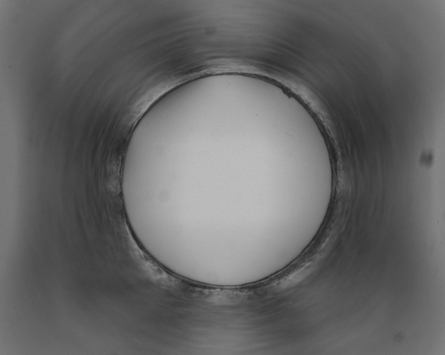X0000088880905200707061407