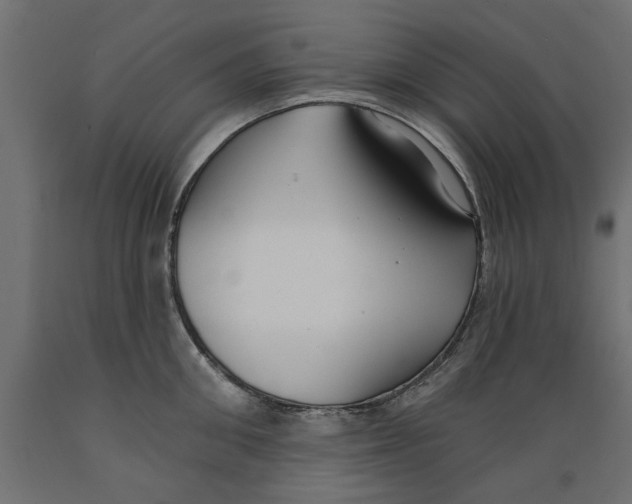 X0000088880906200707061407