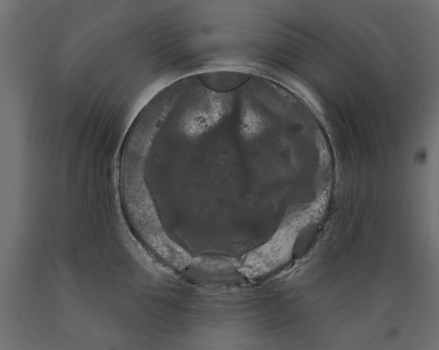X0000088880907200707061407