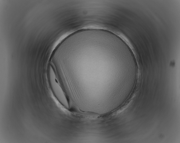 X0000088880909200707061407