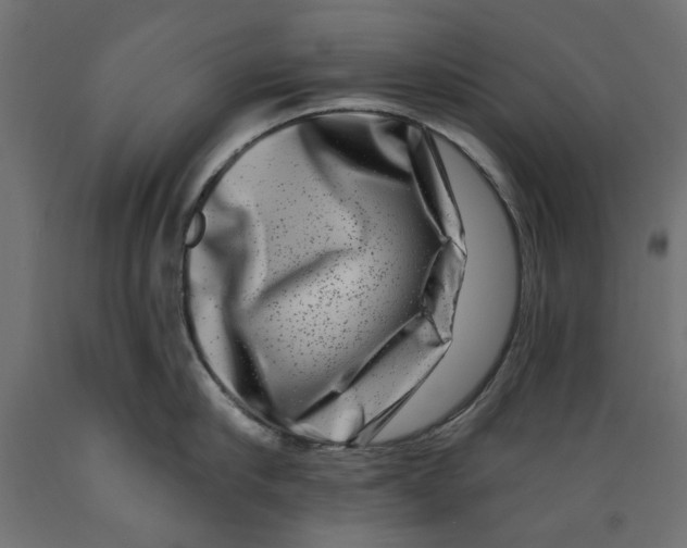 X0000088880910200707061407