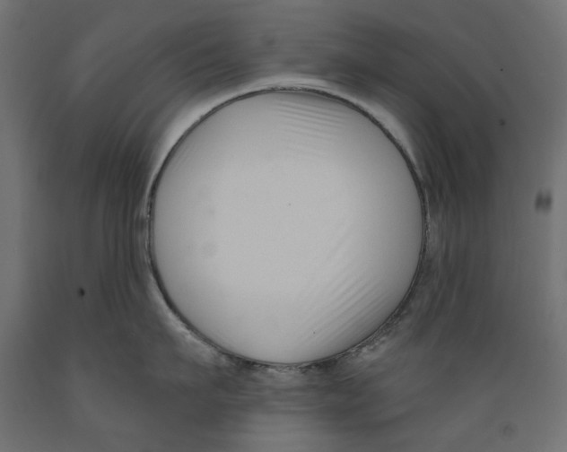X0000088880911200707061407