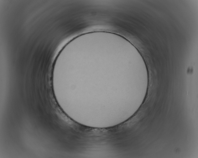 X0000088880912200707061407
