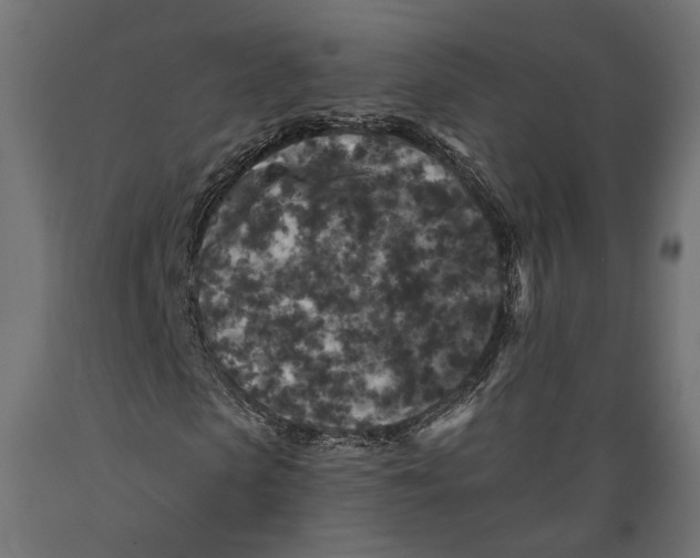 X0000088880913200707061406