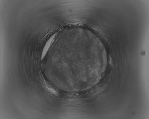 X0000088880915200707061407