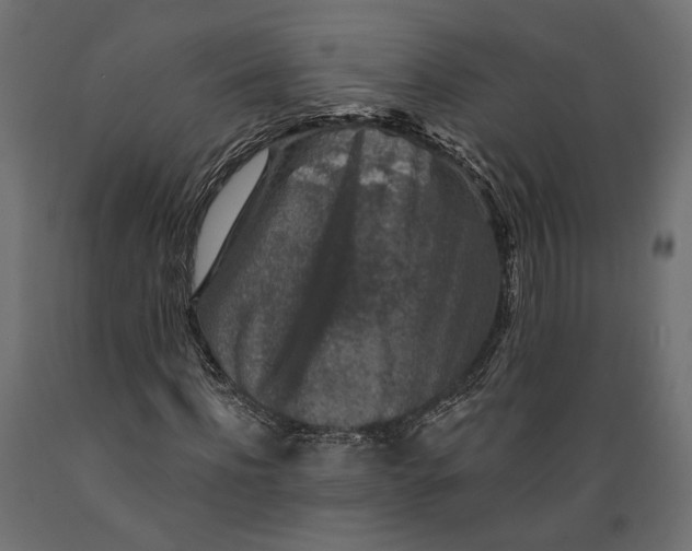 X0000088880916200707061407