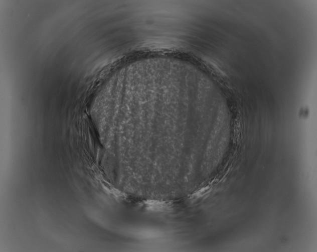 X0000088880917200707061407