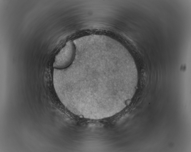 X0000088880918200707061407